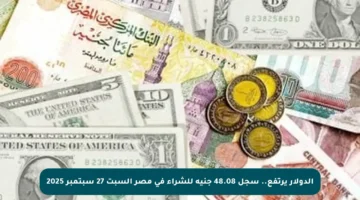 الدولار يرتفع.. سجل 48.08 جنيه للشراء في مصر السبت 27 سبتمبر 2025